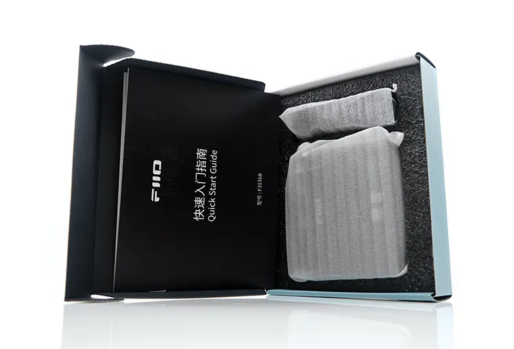 FiiO BR13 accessories