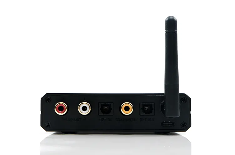 FiiO BR13 rear panel flat